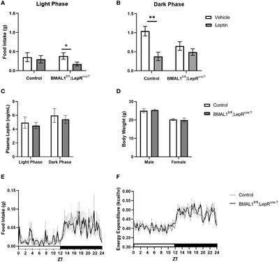 Peripheral clock disruption and metabolic disease: moving beyond the anatomy to a functional approach